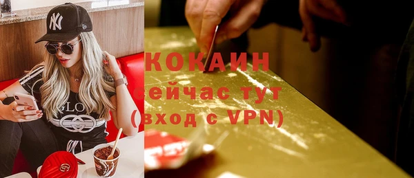 сатива Богородицк