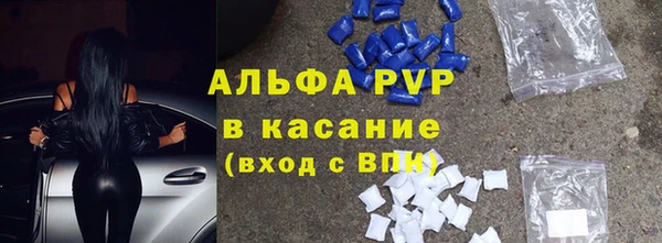 сатива Богородицк